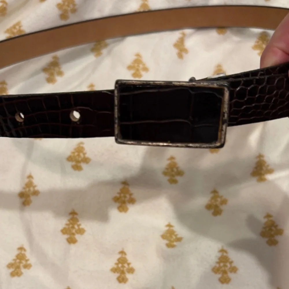 Brown leather Belt with Silver outlined Buckle